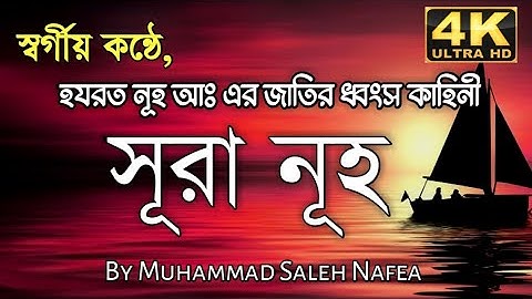 সূরা নূহের (سورة نوح‎ ) অন্তর জুড়ানো তেলাওয়াত । Surah Nuh By Muhammad Saleh Nafea |