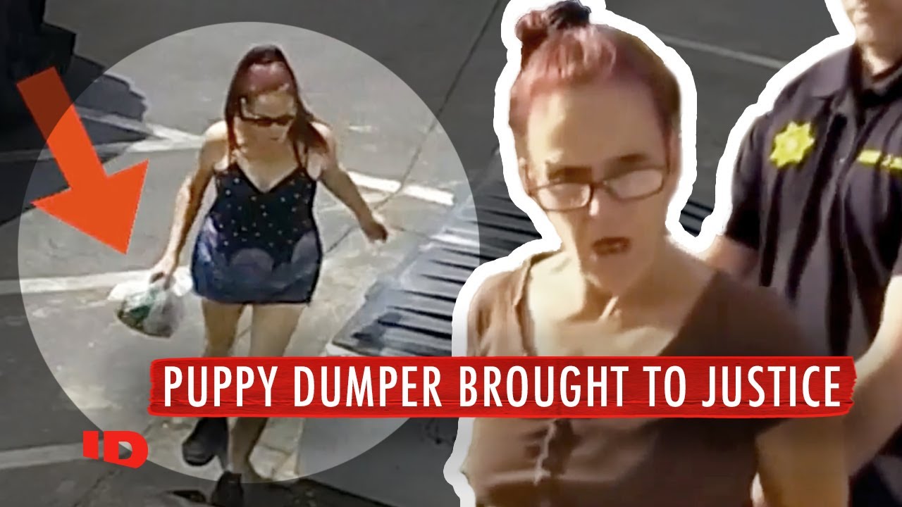 Woman Who Ditched Bag of Puppies in Dumpster ARRESTED | Crimes Gone Viral | ID