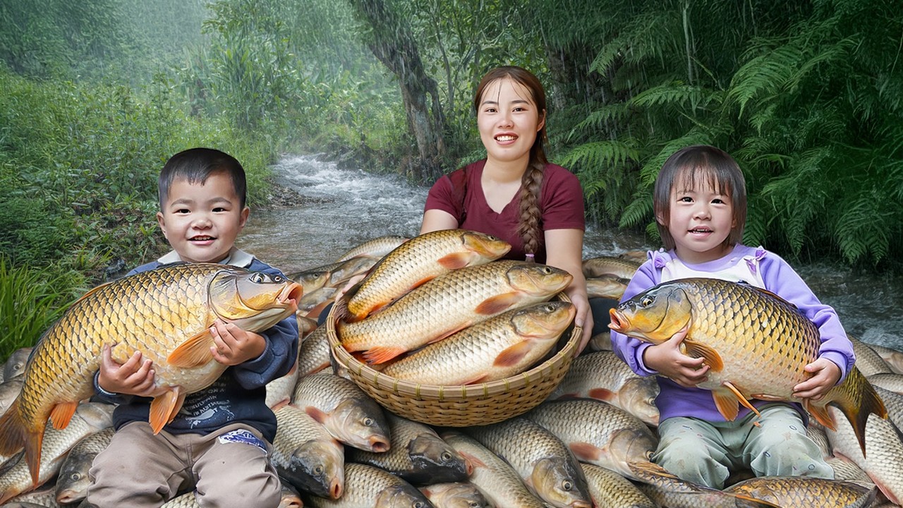 Catching Fish from Rainy Days to Sunny Days | Fishing Life of Chuc Duong Family | Village Life