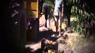 Remar Informa Argentina Mendoza