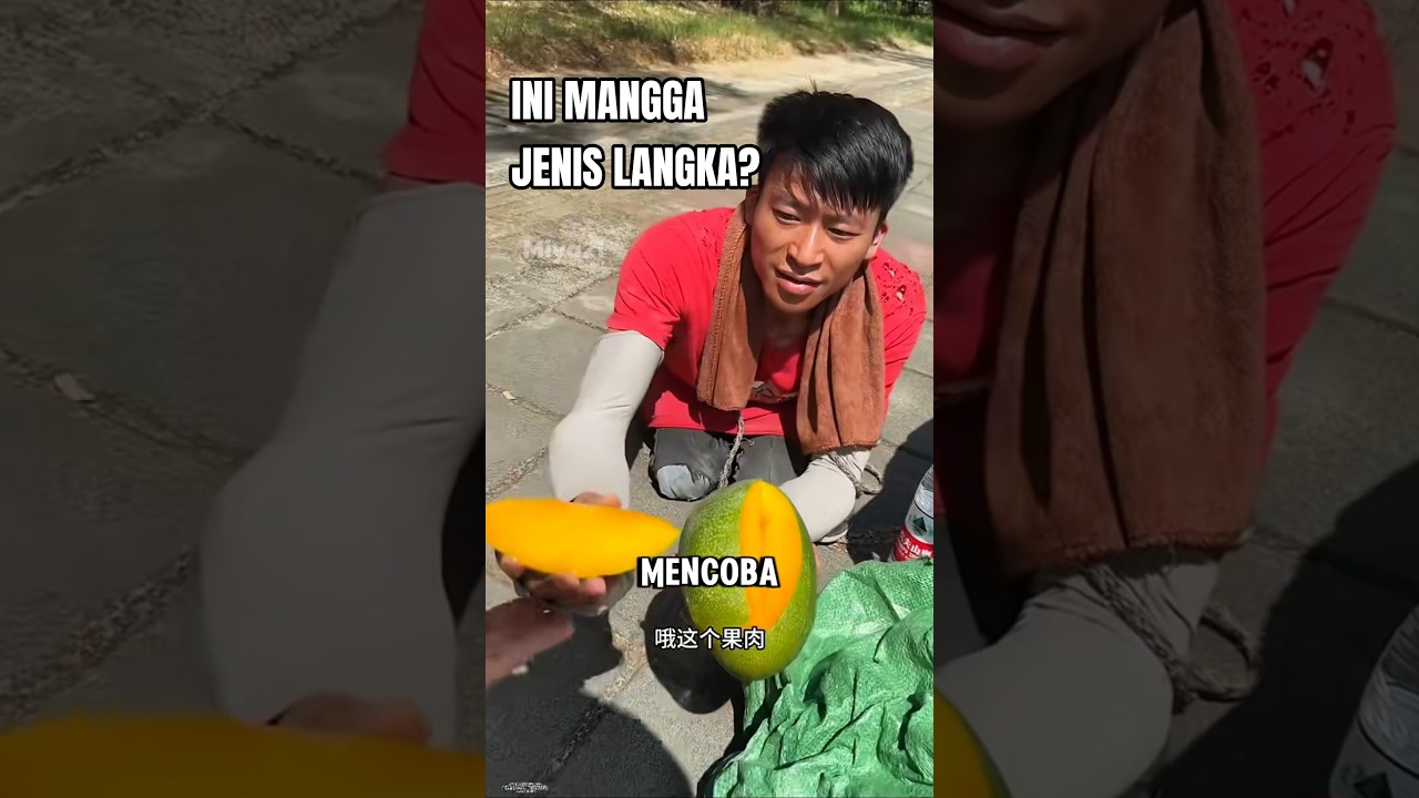 Dia Menjual Mangga Jenis Langka..🥺