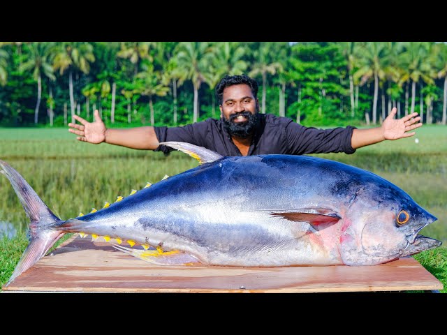 50 Kg + Tuna Fish ThavaFry | ഇത്രക്ക് വലിയ മീനെ പൊരിച്ചുകഴിച്ചാലോ | M4 Tech | class=