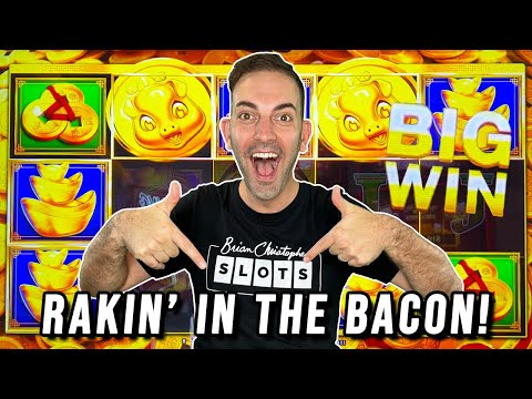 Piggies are RAKIN' in the BACON ⫸ BCSlots at Plaza