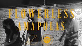 Fløwerless - Amapolas Video Oficial