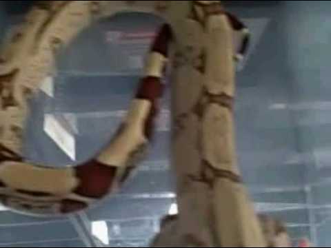 camera iphone 8 plus apk ball pythons 1 09 09