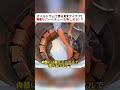 オイルドラムで作る天才アイデア! 料理もバーベキューも楽しめる!? #DIYプロジェクト #オイルドラム #自作キッチン #バーベキュー #天才アイデア