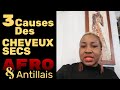 3 causes des cheveux secs pour les cheveux afro et antillais