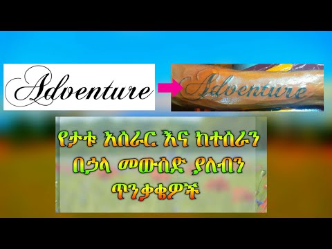 ቪዲዮ: የዲናሞ የሴት ጓደኛ ማናት?