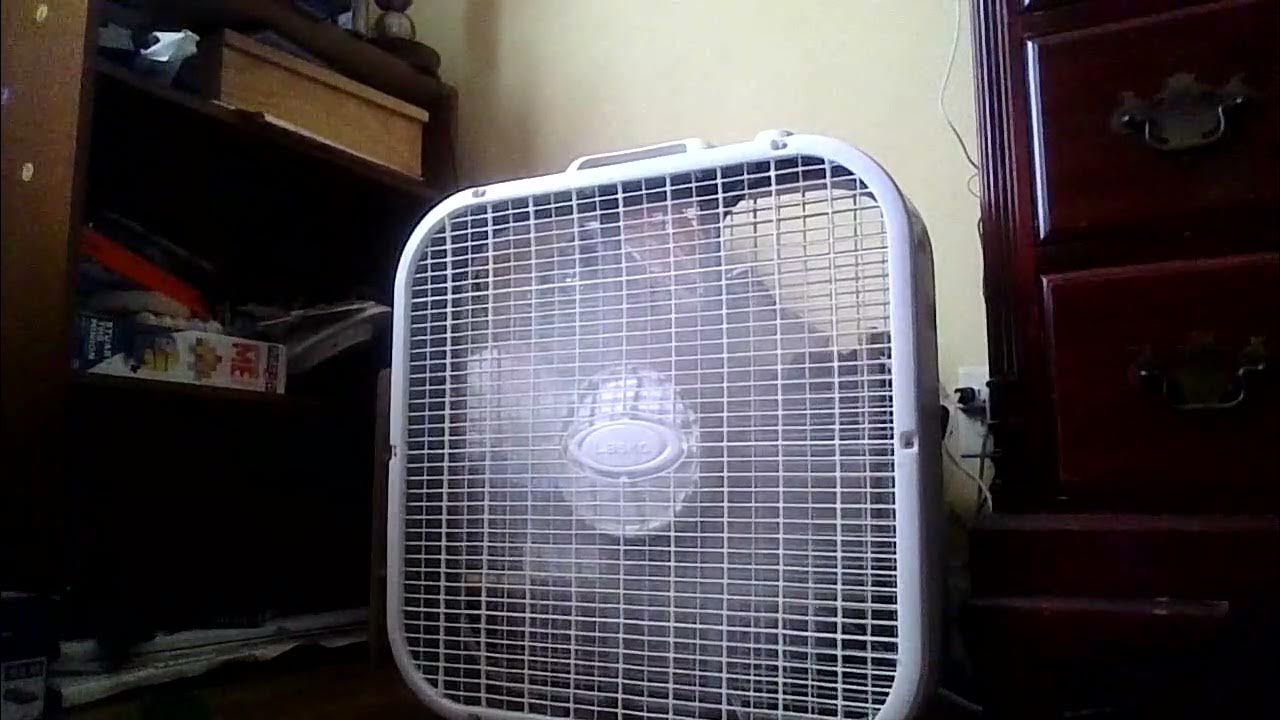 loudest and relaxing box fan on high level YouTube