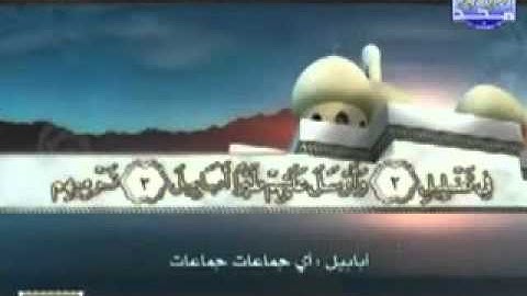 سورة الفيل مع معاني الكلمات