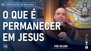 O que é permanecer em Jesus | (Jo 15, 1-8) #758 - Meditação da Palavra