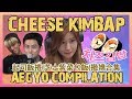 [ENGSUB中字] Cheese Kimbap(치즈김밥) Aegyo Compilation (TWICE Sana, iKON B.I, 2PM Taecyeon)