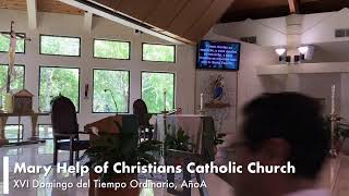XVI Domingo del Tiempo Ordinario, Año A