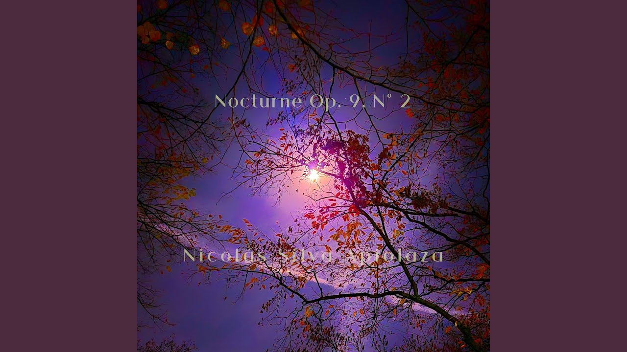 Nocturne Op.9, No. 2 (Guitar)