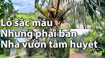 Bán lỗ sặc máu nhà vườn để xoay sở công việc tại Phú Mỹ bà rịa vũng tàu