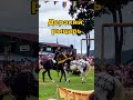 Дерзкий рыцарь поплатился. Полное видео уже выложил на канале. #рыцари #карма #турнир #испания
