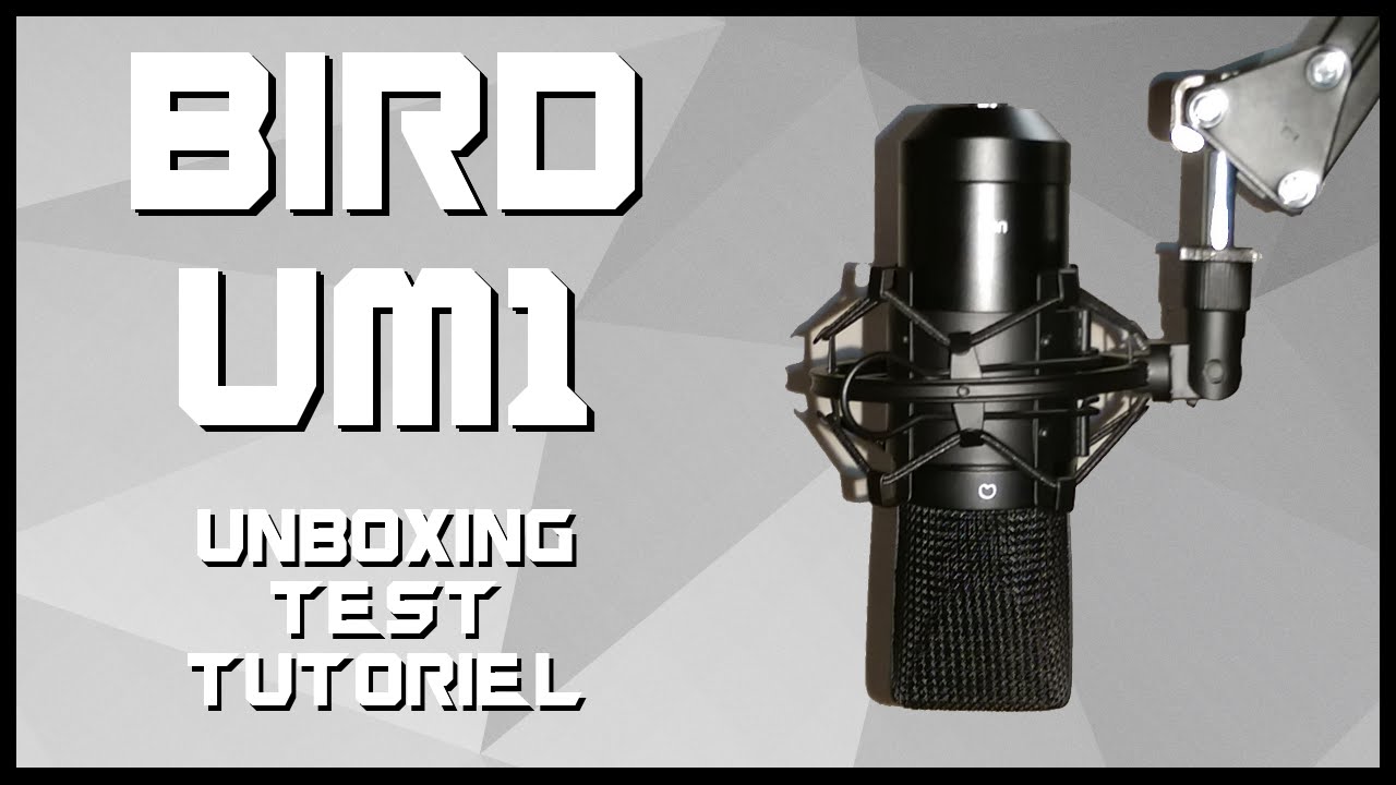 Micro Bird Um1 Unboxing Test Et Tutoriel Audacity Youtube