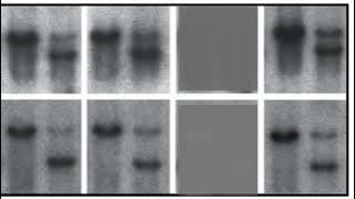 F8B0B0ADB840565497A6055C765822#1