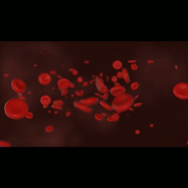 Why rbc have no nucleus why rbc does not contain nucleus rbc me