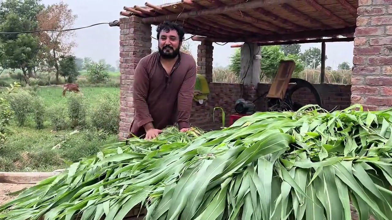 Badal Aye Par Barish Ni Aai | Anjum Saroya Routine Vlog | Anjum Saroya