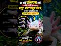 यह अपना कटा हुआ शरीर फिर से उगा लेता है!या#shorts #facts #axolotl #animalfacts