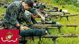US Marine Corps. Powerful Rifles. Scout Sniper Course.
