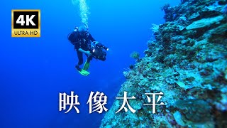 【Taiwan 4K+聲音修復】映像太平豐富原始的海洋難以到達的國境之南南沙太平島 (公視我們的島 1134集 20211206)