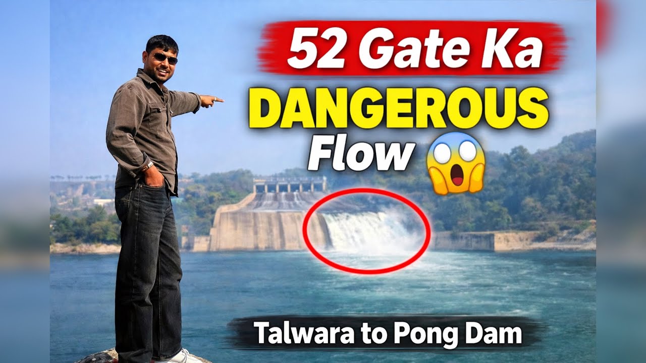 52 Gate Pong Dam Dangerous Water Flow 😱 | Talwara Vlog | Pong Dam 52 Gate LIVE Flow  #pongdam 