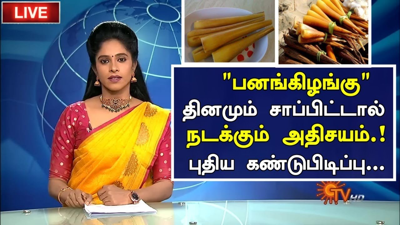 பனங்கிழங்கு மருத்துவ பயன்கள் Pana Kilangu Panam Kizhangu Palm