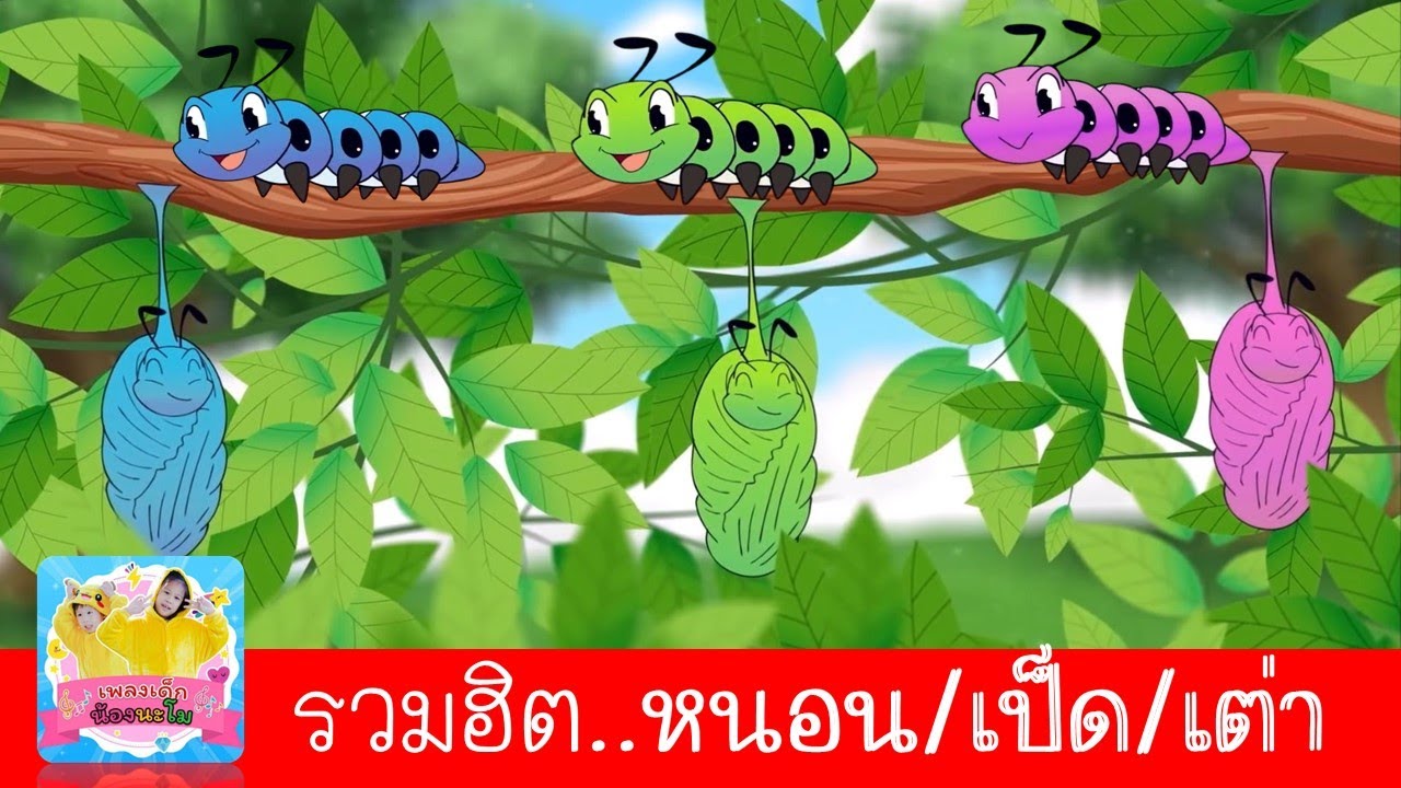 เพลงหนอน เพลงเป็ด เพลงเต่า | เพลงฮิต 3 อันดับยอดนิยมประจำช่อง | สื่อการสอนเรียนรู้เรื่องสัตว์