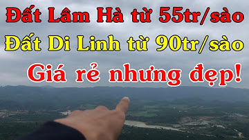 Cập nhật sớm các khu đất vườn giá rẻ, từ 55tr - 150tr/sào tại Di Linh & Lâm Hà, Lâm Đồng