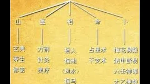 什么样的八字适合学习五术山医命相卜 - 天天要闻