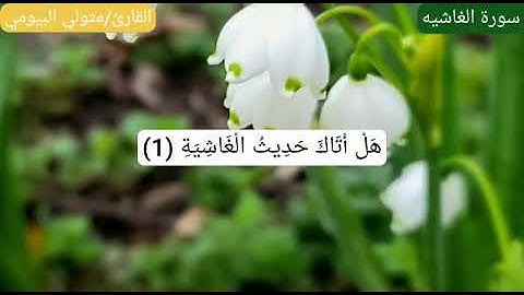 سورة الغاشية القارئ متولي البيومي