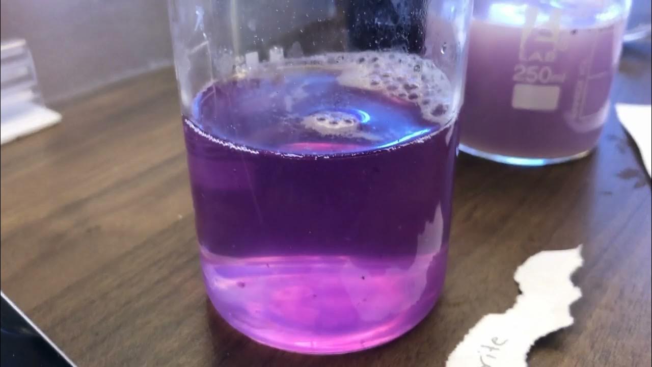 Cabbage Juice Color Wheel Experiment YouTube