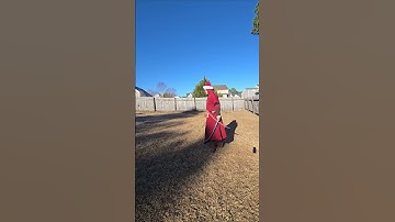 Extended guard with dual shamshirs #shamshir