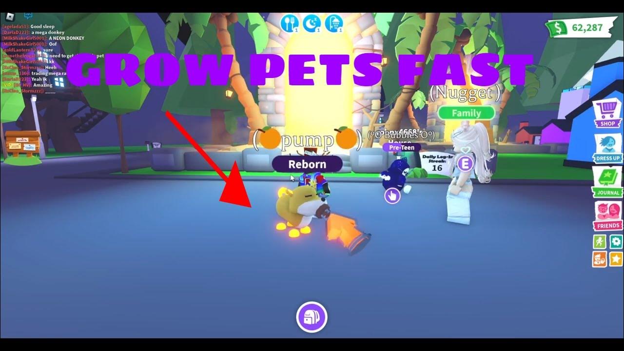 How to get and use age up potions adopt me YouTube