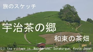 宇治茶の郷 和束の茶畑 18 京都府相楽郡和束町 Uji Tea Village In Wazuka Cho Soraku Gun Kyoto Japan Youtube