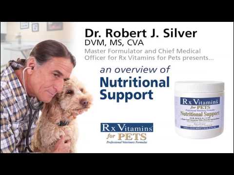 nutritional-support-product-overview---rx-vitamins-for-pets
