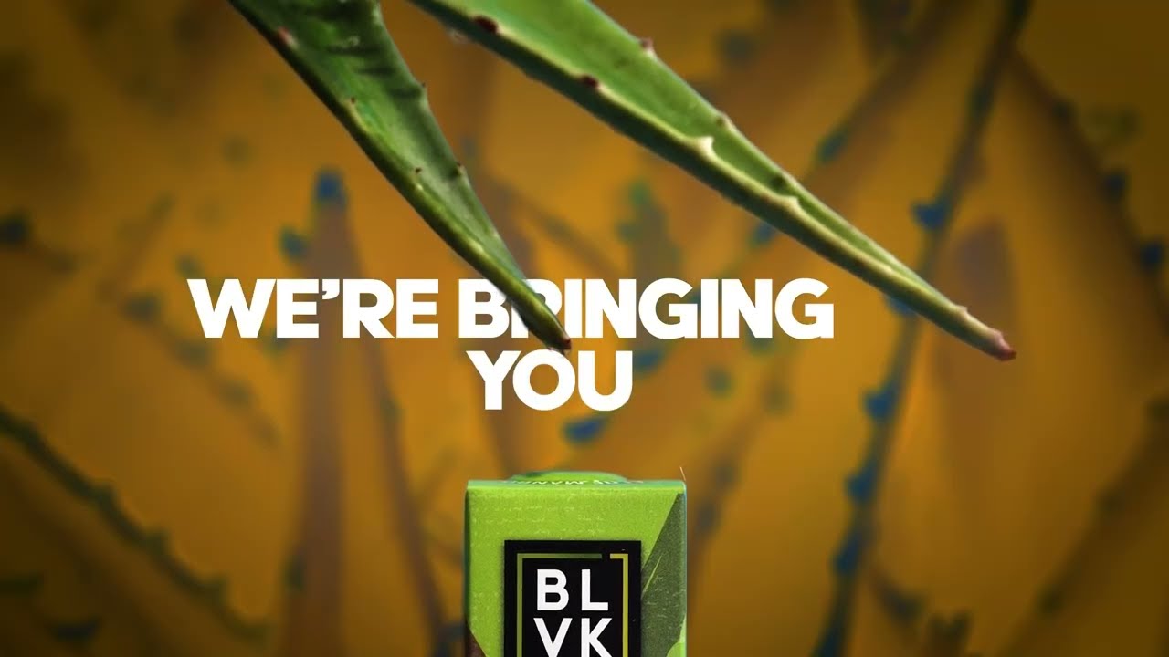 BLVK | Introducing the BLVK ALOE Series