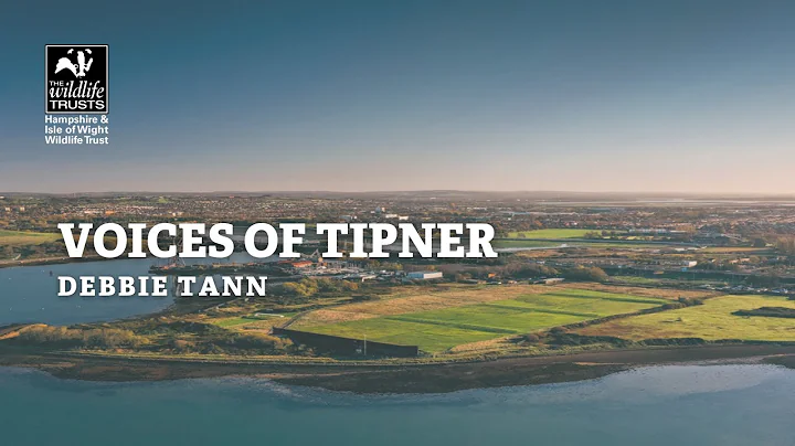 Voices of Tipner - CEO Debbie Tann