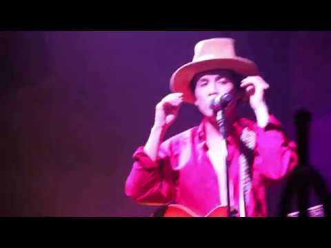 Ammy The Bottom Blues 12345 I Love You Live DND