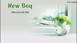 [Vietsub   Pinyin] ♪ New Boy - Mèo Của Chủ Nhà | New Boy - 房东的猫 ♪