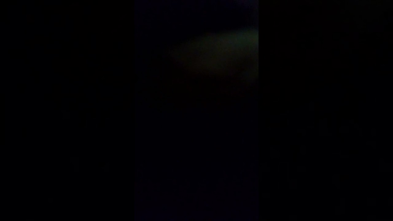 Yandere twisted dandy x toon listener