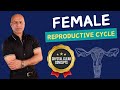 Female Reproductive & Menstrual Cycle 🌸