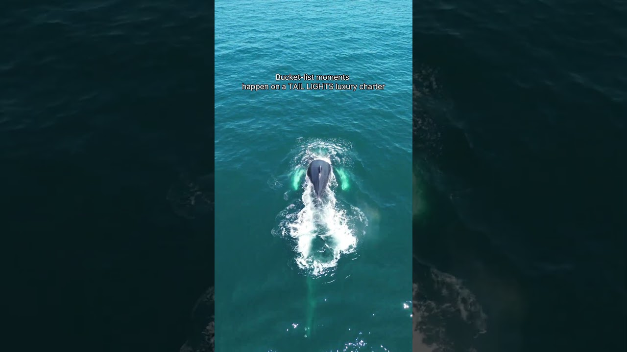 An experience like no other!