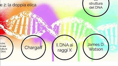 Perché il DNA viene chiamato doppia elica?