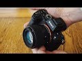 Sigma 56mm f/1.4 DC DN 'C' lens review with samples