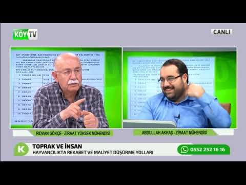 HAYVANCILIKTA REKABETİ VE MALİYETİ DÜŞÜRME YOLLARI | TOPRAK VE İNSAN