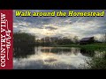 Evening walk with the dogs.  Homestead update VLOG
