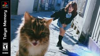 Welcome to Cat City (Atmospheric Intelligent DnB Mix) screenshot 5
